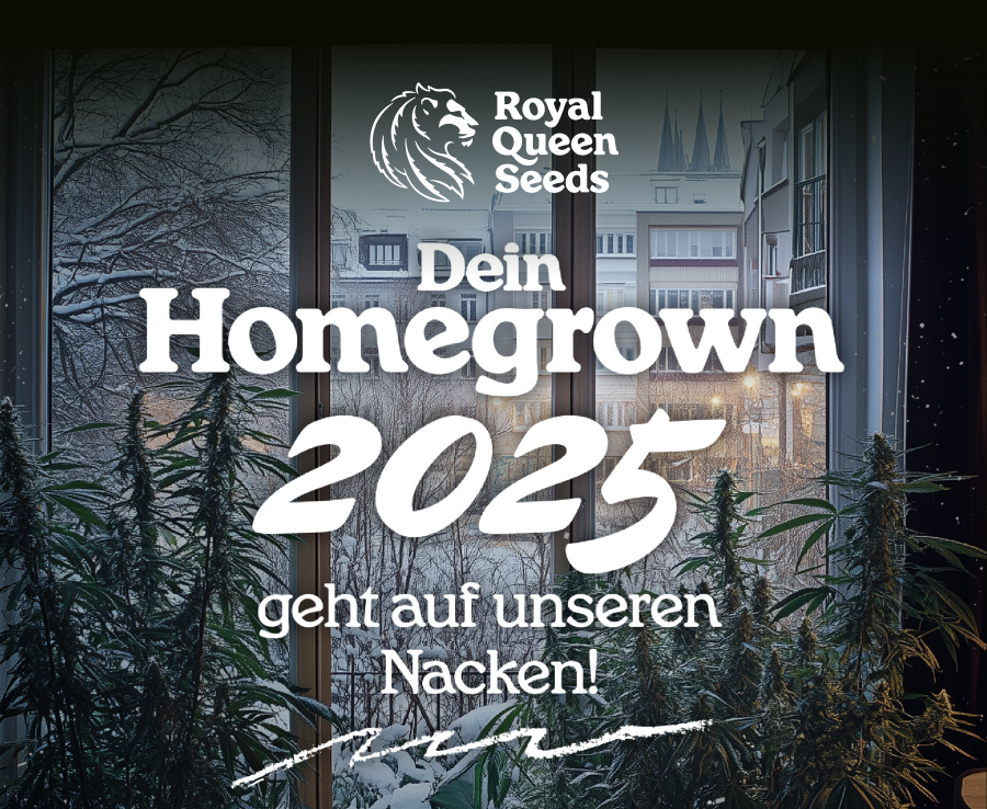 Homegrown 2025